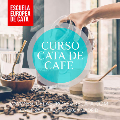 CURSO-CATA-DE-CAFE-ESCUELAEUROPEADECATA