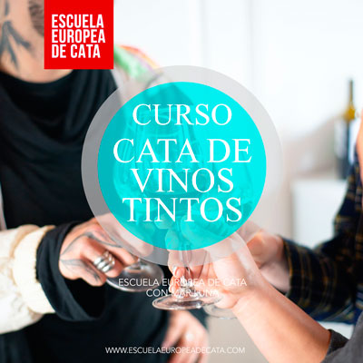 VINO-TINTO-escuela-europea-de-cata-PORTADA