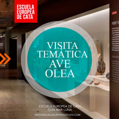 visitas-tematicas-museos-AVE-OLEA